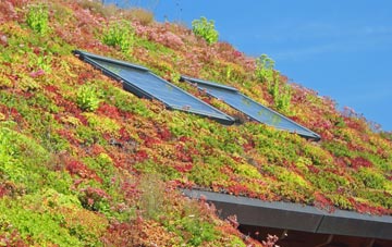 Hillcliffe living roof systems